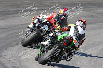 media/Feb-04-2024-SoCal Trackdays (Sun) [[91d6515b1d]]/4-Bowl Backside (11am)/